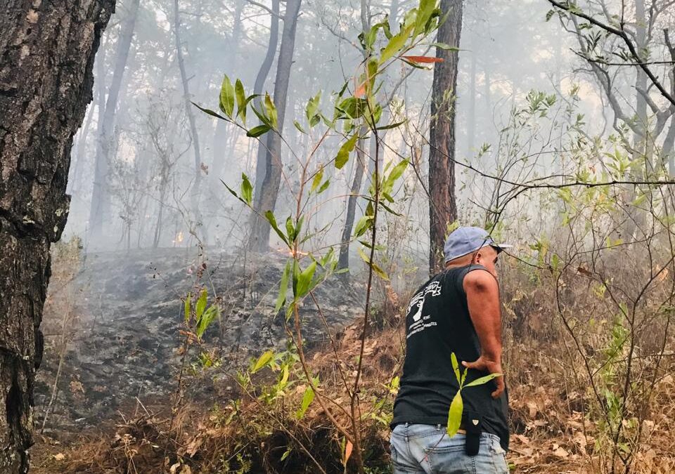 Brigadistas y voluntarios combaten incendio en Ziracuaretiro
