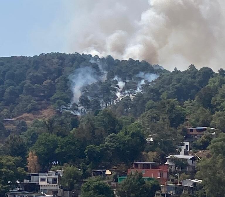 Se incendia el cerro de La Charanda