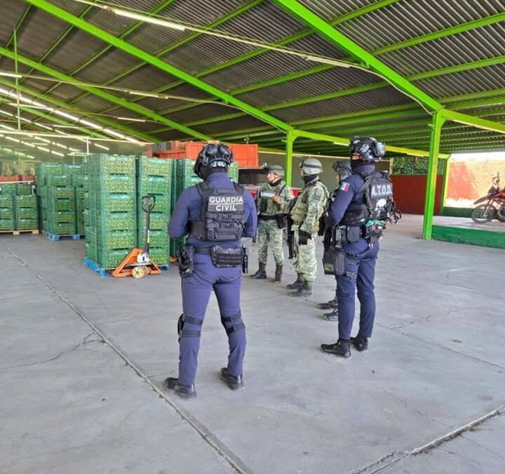 Garantizado el abasto de limón michoacano a todo el país: Torres Piña