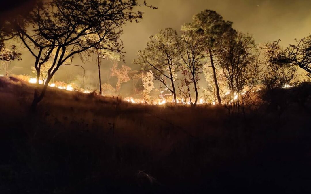 Se incendia el cerro de Jicalan