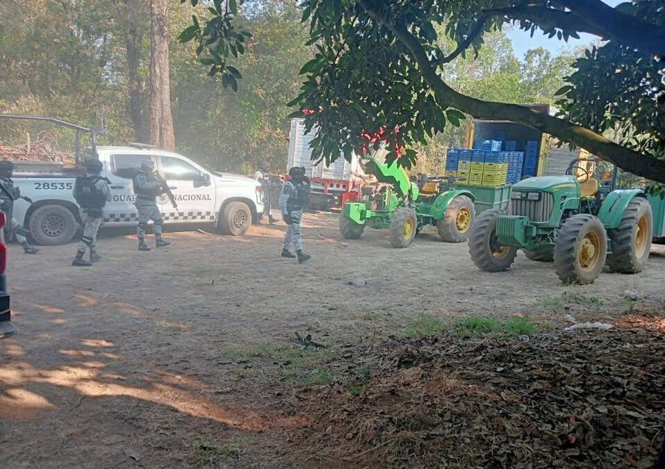 Detienen a 14 presuntos implicados en robo de 160 cajas de aguacate