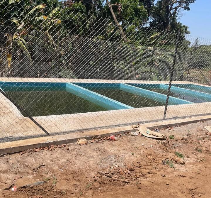 En Ziracuaretiro, cumplimenta FGE cateo en predio relacionado en cultivo ilegal de aguacate