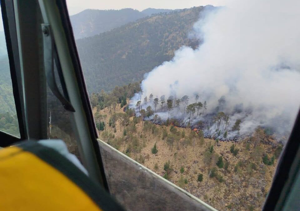Por aire y tierra combaten incencio en el Pico de Tancítaro