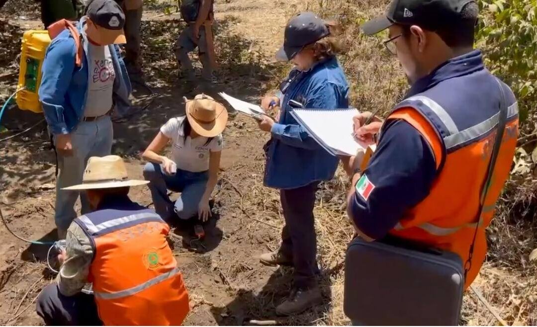 Combustión subterránea: Investigadores revelan causas de fenómeno en zona agrícola de Uruapan