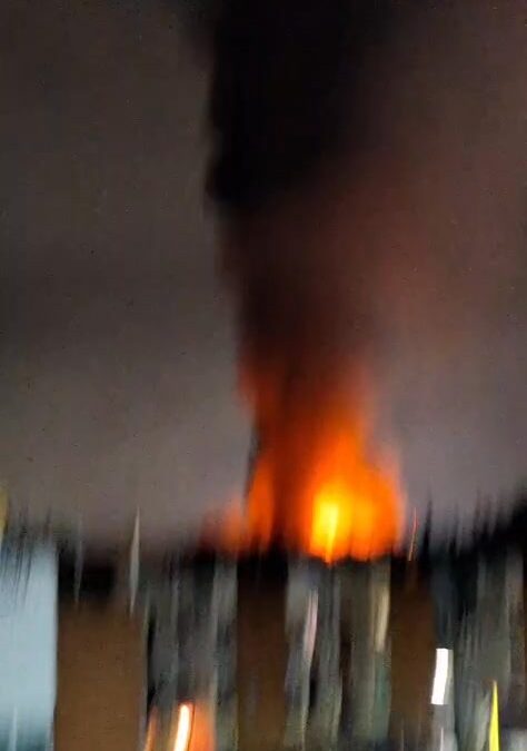 Se incendia empaque de aguacate en Santa Rosa