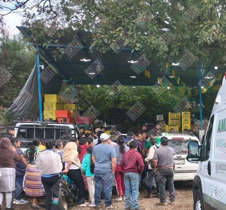 Asesinan a hombre en negocio de venta de aguacate