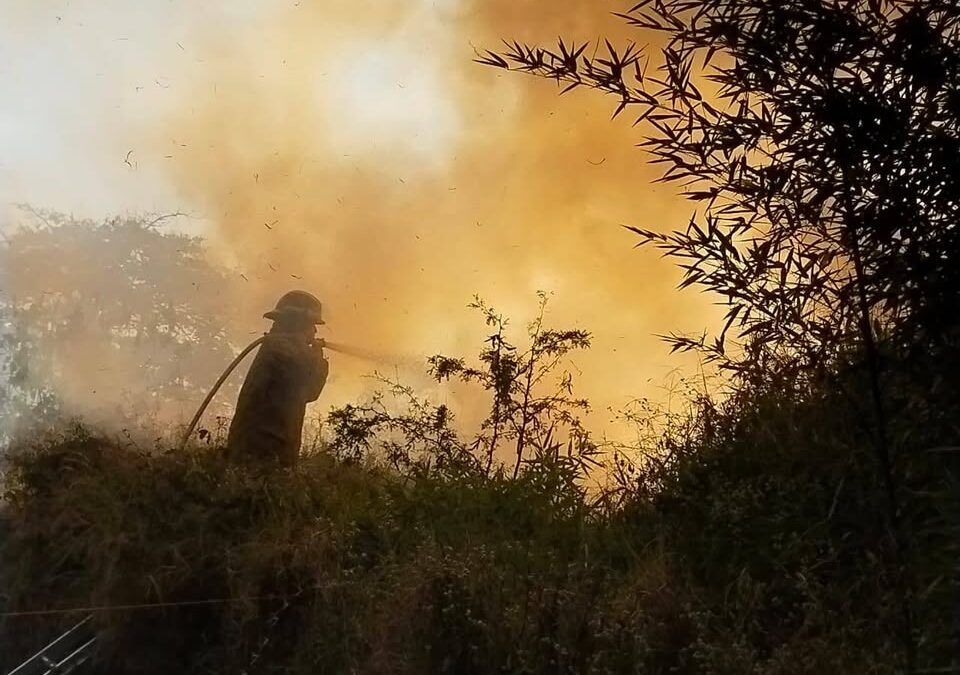 Protección Civil de Ziracuaretiro sofoca incendio de pastizal