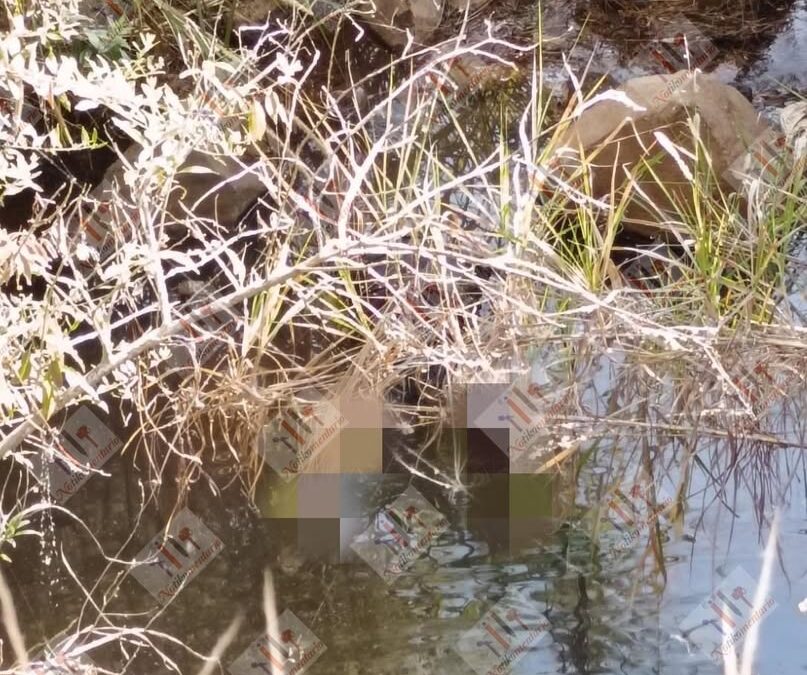 Localizan cadáver en El Sabino