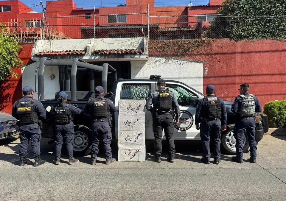 Aseguran más de 25 kilos de marihuana en la central camionera