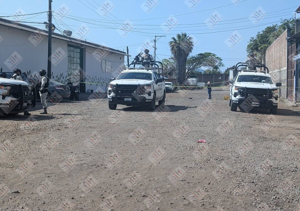 Balean fachada de un empaque de aguacate en la colonia Quinta María Antonieta