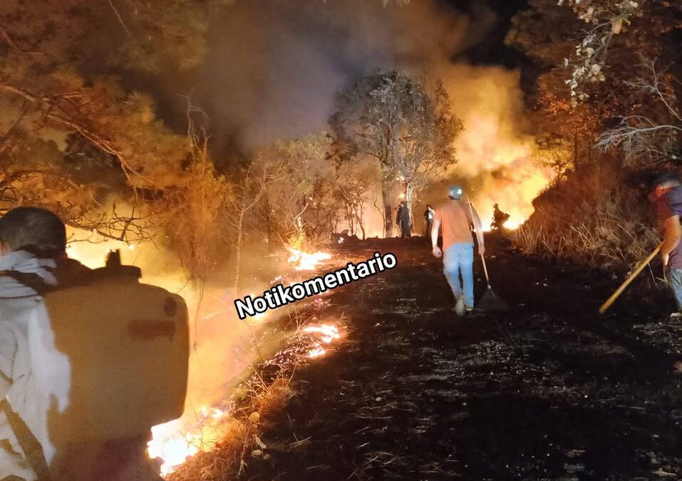 Se registra incendio forestal en Caracha